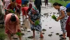 सडकमै धान रोपेर दमकवासीको विरोध: जुनै जोगी आए पनि कानै चिरेको!