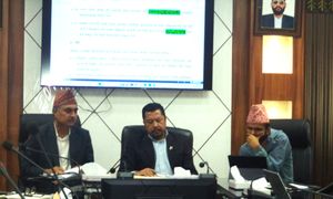 विद्युत् नीतिमाथि आन्तरिक छलफल सुरू