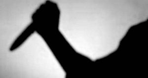 इमाडोलमा पैदलयात्रीमाथि चक्कु प्रहार