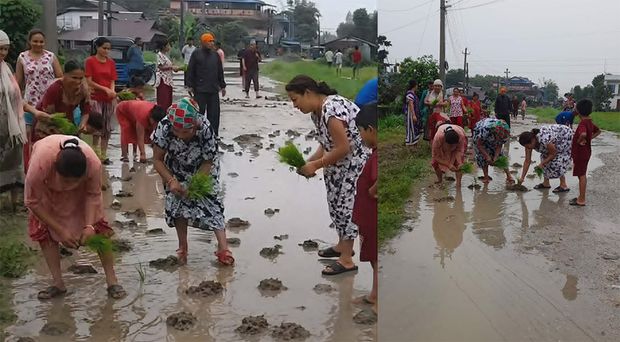 फाइल तस्बिर