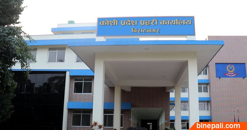 कोशी प्रहरीको गाँजाविरोधी अभियानः २६ हजार किलो बरामद, १७ लाख ७२ हजार बोट नष्ट