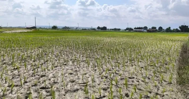 ‘संकटग्रस्त प्रदेश’ भयो मधेस