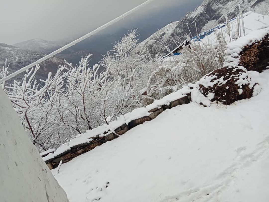 Photo: NK