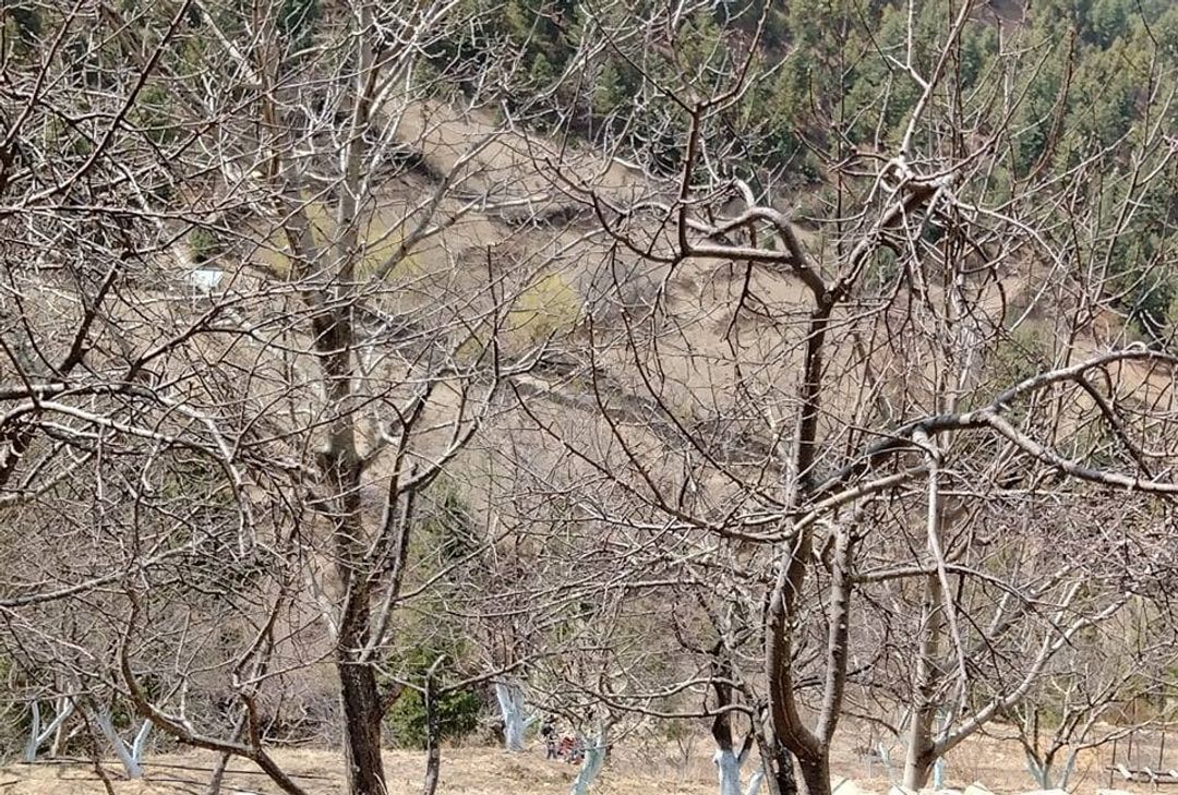 फाइल तस्वीर
