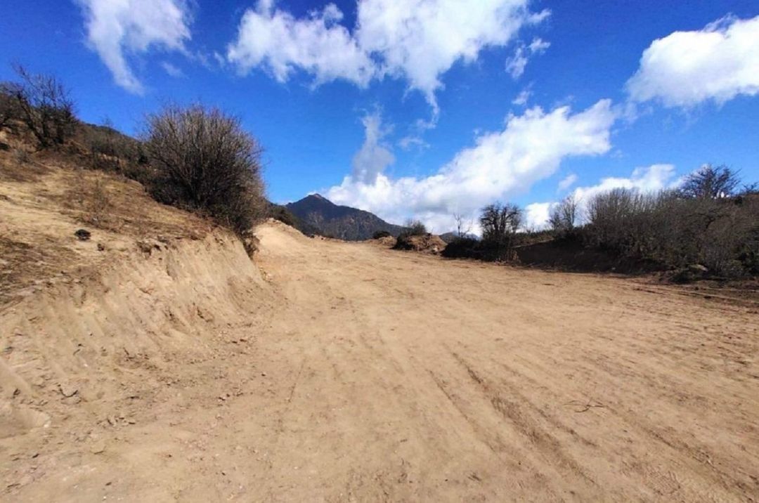 Photo Courtesy: Armed