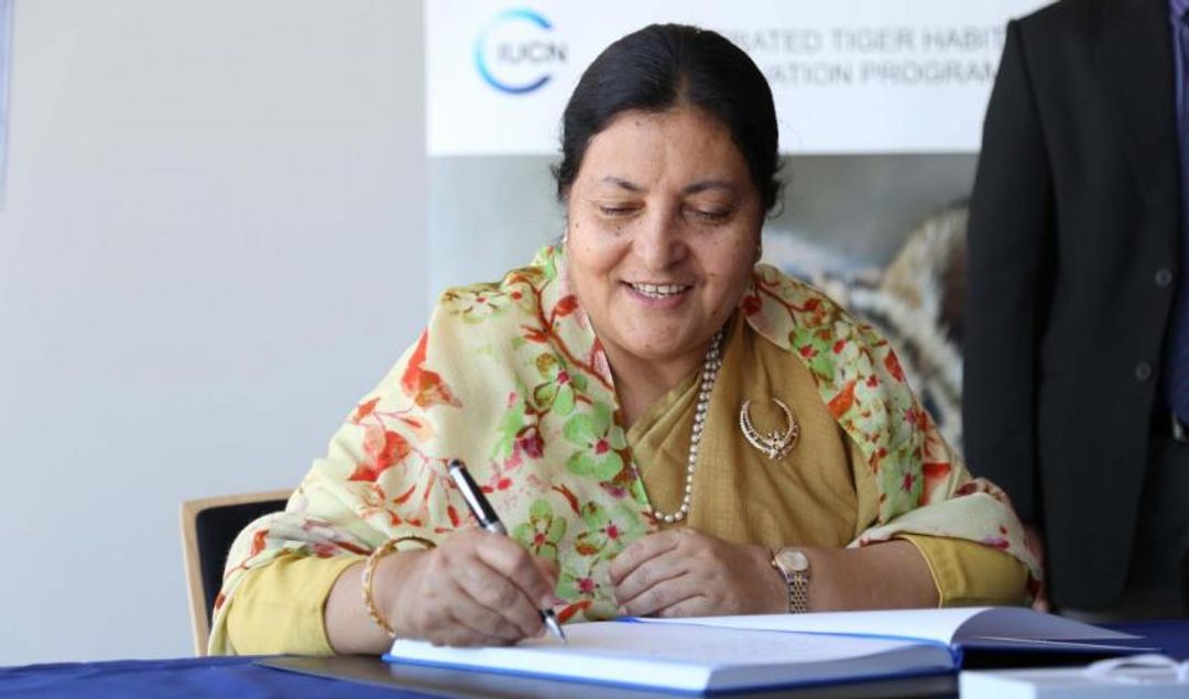 फाइल तस्वीर