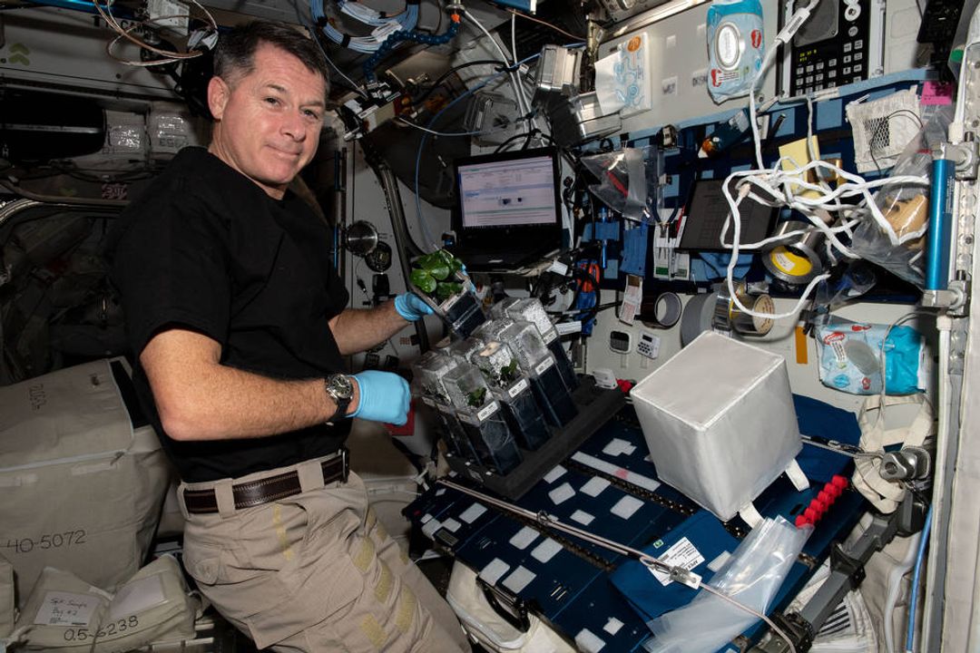 Photo : nasa.gov