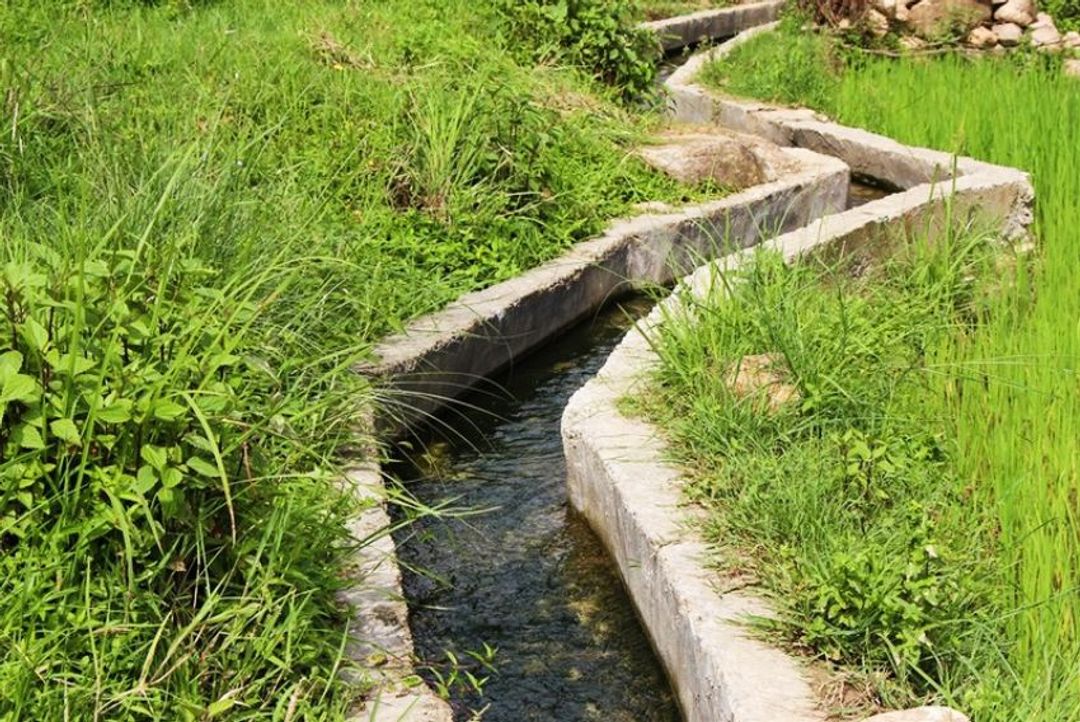 फाइल तस्बिर
