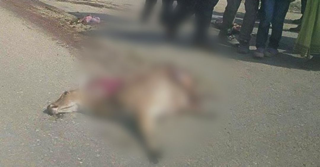 फाइल तस्वीर