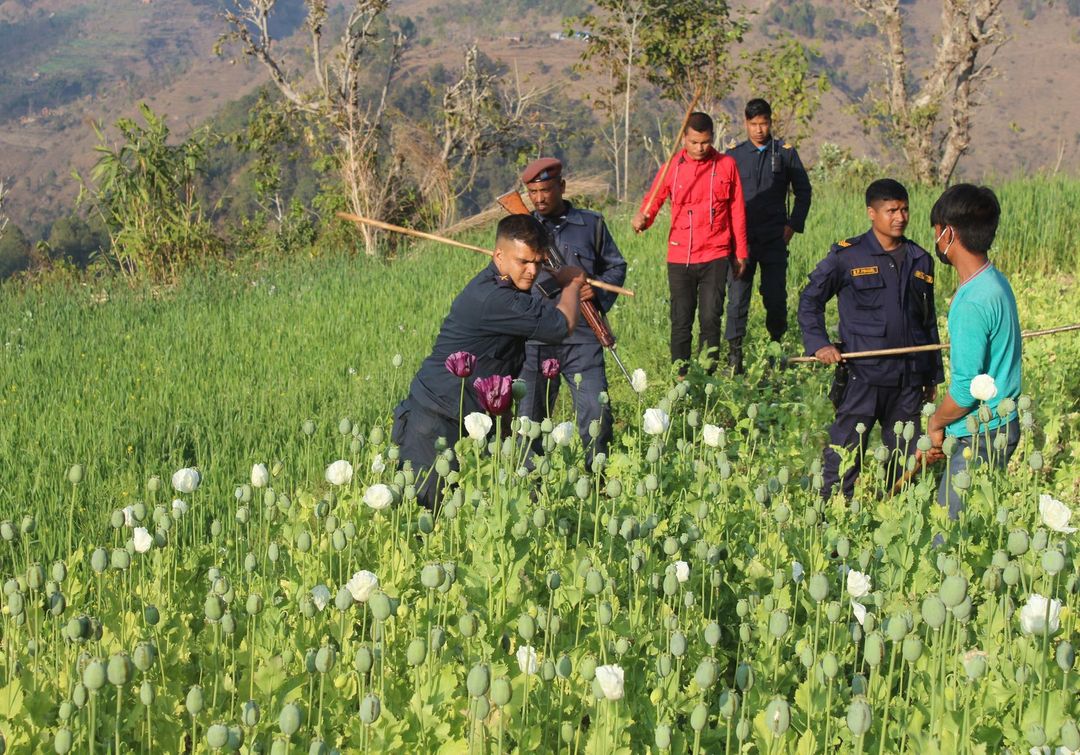 फाइल तस्बिर